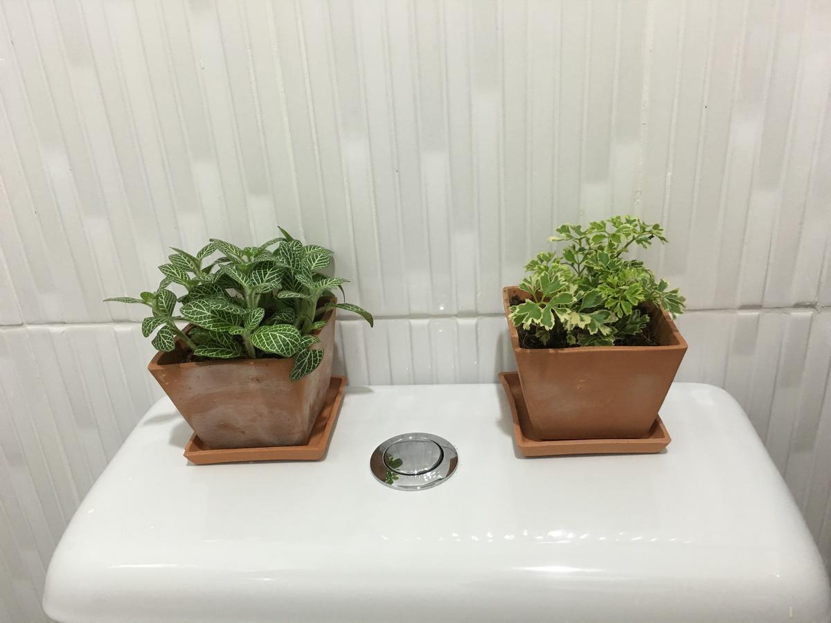 Wanmai Herb Garden Bangkok Kültér fotó